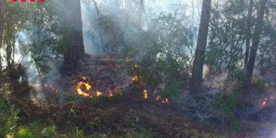 Extingit l'incendi d'Ossera, que ha cremat 17 Ha