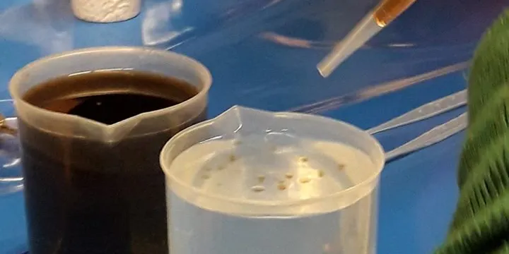 Dilluns vinent, el BiblioLab mostrarà l’impacte que tindrà en aquest segle la nanotecnologia