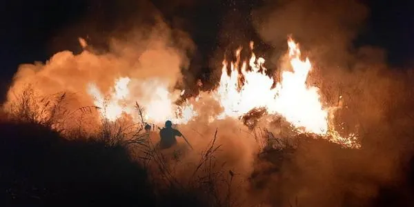 Investiguen les causes de l’incendi als Muntanyans de Torredembarra