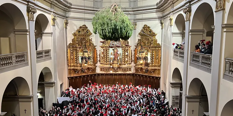 Centelles celebra una multitudinària Festa del Pi amb més de 300 galejadors