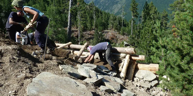 El projecte Boscos de Muntanya fomenta el manteniment del paisatge pirinenc