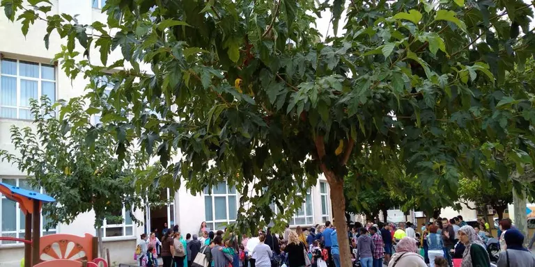 L'escola Macià-Companys fomenta el coneixement de l'anglès amb més professorat especialista
