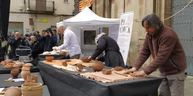 L’AUP proposarà al ple que es col•loquin plafons informatius als centres públics