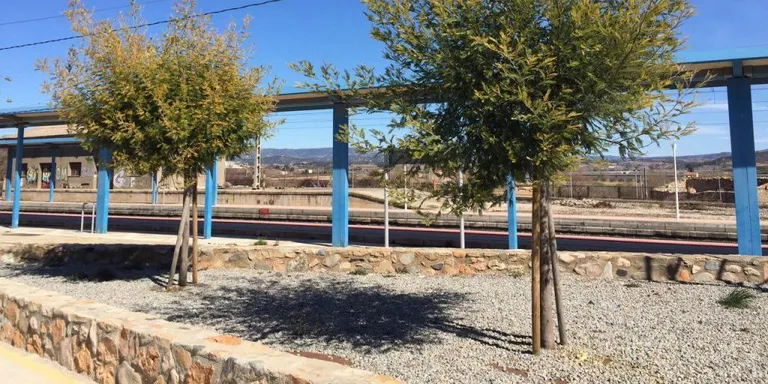 Detingut un rubinenc per un presumpte robatori amb violència
