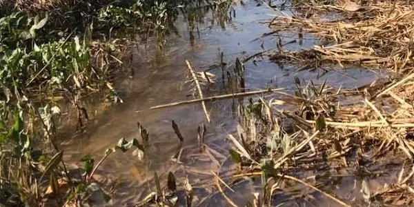 L’Associació Mediambiental La Sínia d’Altafulla commemora el Dia Mundial de l’Aigua a Querol