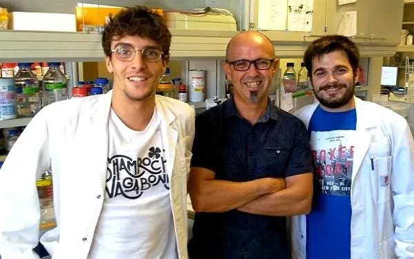 Foto: Precipita