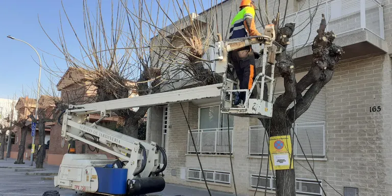 Comença la campanya anual de poda dels arbres de la via pública de Caldes