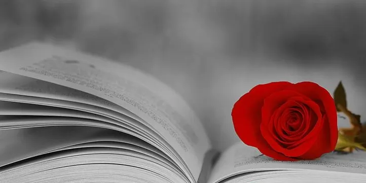 Aquest dissabte, programació especial amb motiu de Sant Jordi