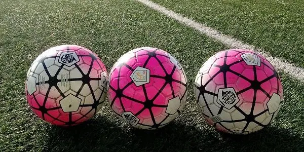La FCF invertirà 1.150.000 euros pel futbol i el futbol sala amateur la pròxima temporada