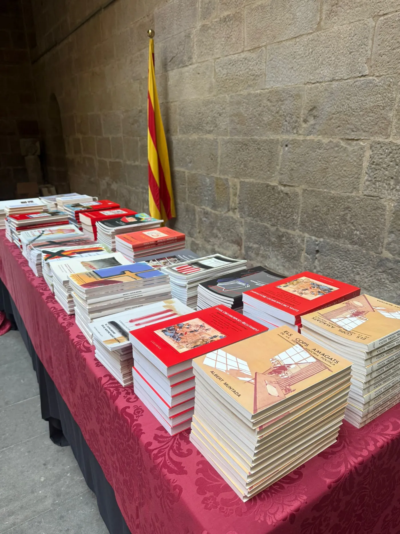 El Consell Comarcal torna a instal•lar una parada de llibres gratuïts al pati gòtic