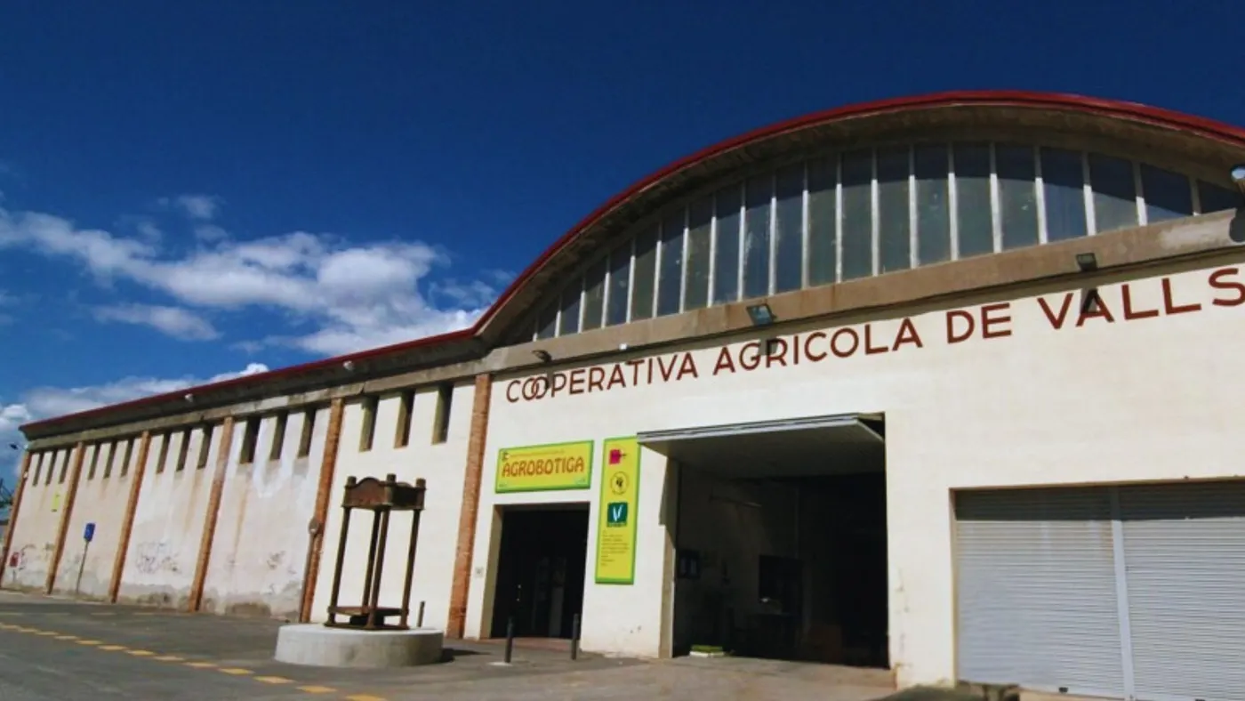 Arrenca a Valls el projecte “Terra Calçotada”