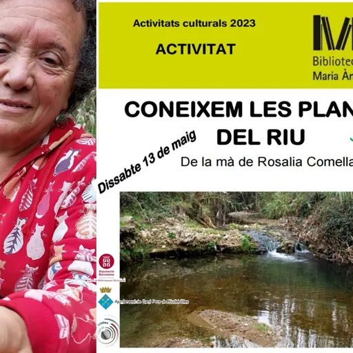 Segona part de l’activitat “CONEIXEM LES PLANTES DEL RIU” de la mà de la Rosalia Comelles.