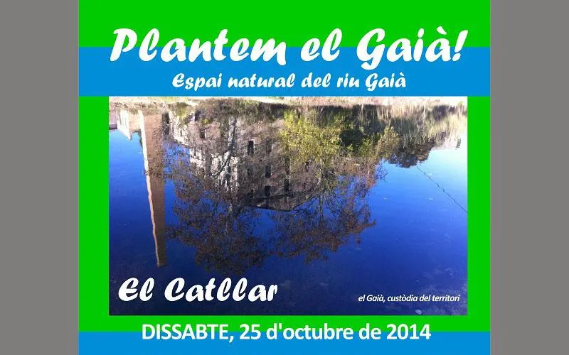 Jornada de reforestació de la llera del riu Gaià a El Catllar