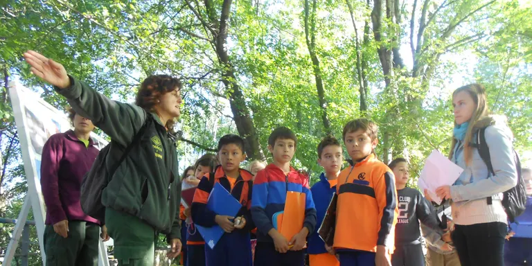 Els nens i nenes de la Seu coneixen els arbres dels parcs municipals