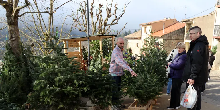 La Fira de l'Avet d'Espinelves allargarà l'horari entre setmana i espera superar els 120.000 visitants
