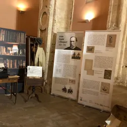 Entrevista a Iris Gual de presentació de l'exposició del bicentenari de Joan Mañé i Flaqué - episode art