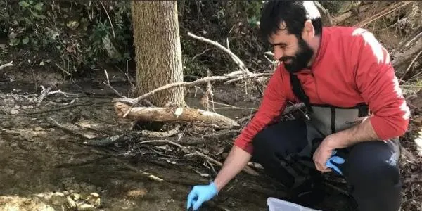 La conca del Gaià recupera el cranc de riu autòcton