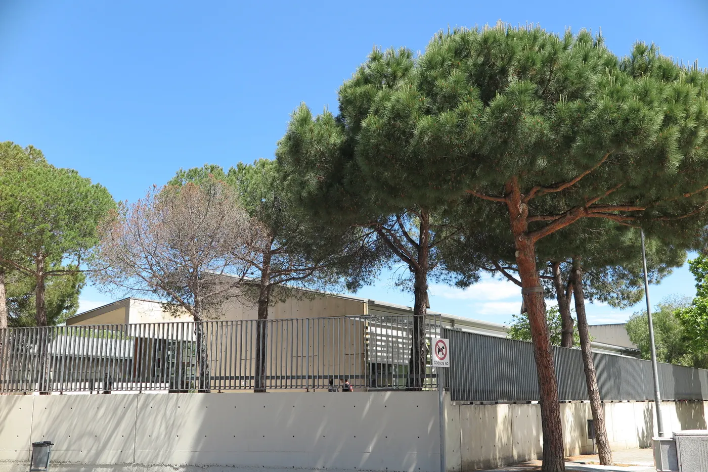 Primer dia d’escola per als 3.151 nens i nenes de Vilassar de Mar que arrenquen el curs 2019-2020