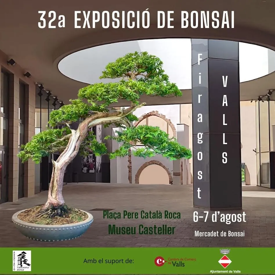L’exposició de bonsais de la Firagost s’instal·la a l’entorn del Museu Casteller