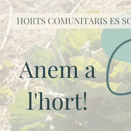 ANEM A L'HORT 24/01/2024