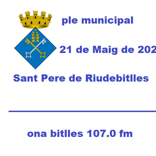 Ple Municipal 21 de Maig de 2025
