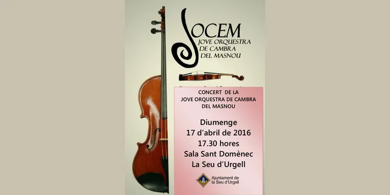 Concert de la Jove Orquestra de Cambra del Masnou a la Seu