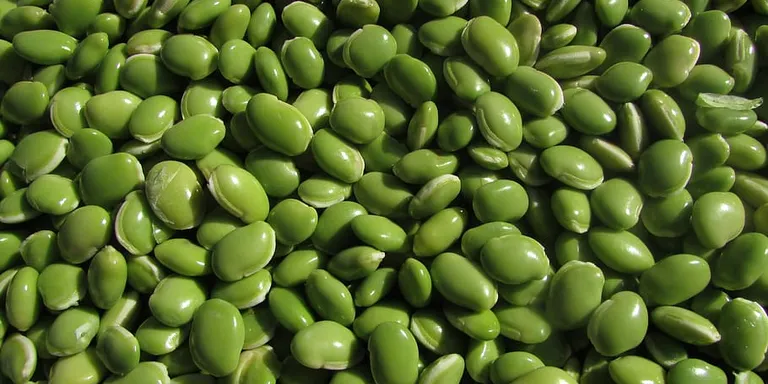 ‘Crònica’ del 15.03.2022