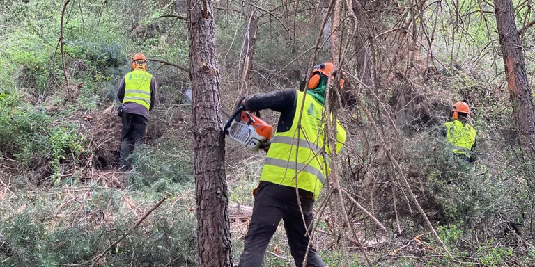 El Govern invertirà 8 milions d'euros en quatre anys en prevenció d'incendis a Lleida i a l'Alt Pirineu