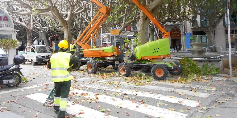 Comença la poda d'uns 800 arbres de la Seu d'Urgell