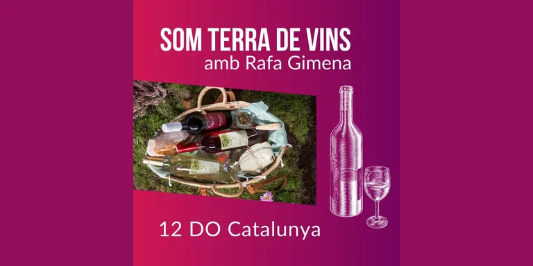 12 Som Terra de Vins - Enoturisme amb Rafa Gimena DO Catalunya