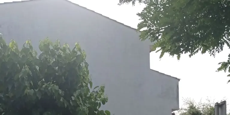 L’Associació de Veïns de la Bolera es desmarca de les pintades contra el projecte d’habitatge jove a l’avinguda Josep Fontcuberta, aparegudes fa uns dies