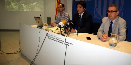 Agricultura posa en marxa accions per millorar la coexistència entre voltors comuns i bestiar domèstic
