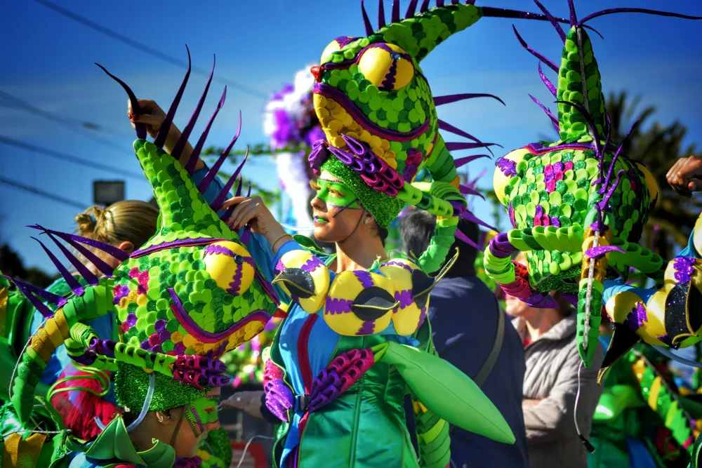2on Concurs de Fotografia del Carnaval de Pineda