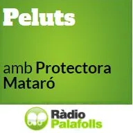 Peluts