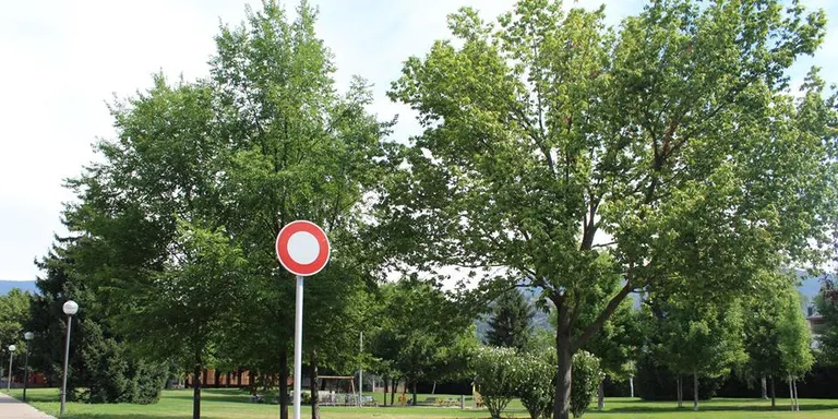 El ple de la Seu debat l'ús de bufadors i l'ocupació de pisos