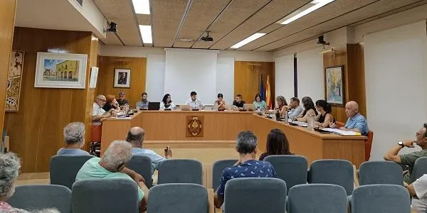 L'odi i les falses notícies a les xarxes socials, novament protagonistes de la crispació al Ple d’Altafulla