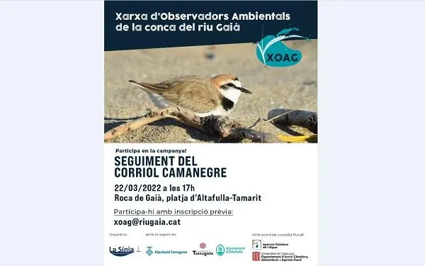 Foto: Associació Mediambiental La Sínia