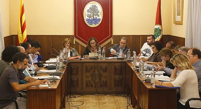 Moment del ple d'ahir (foto: Xavi SalbanyÃ ) 