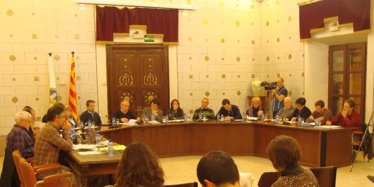 La Seu aprova una moció en defensa del dret de les dones a decidir sobre la interrupció del seu embaràs