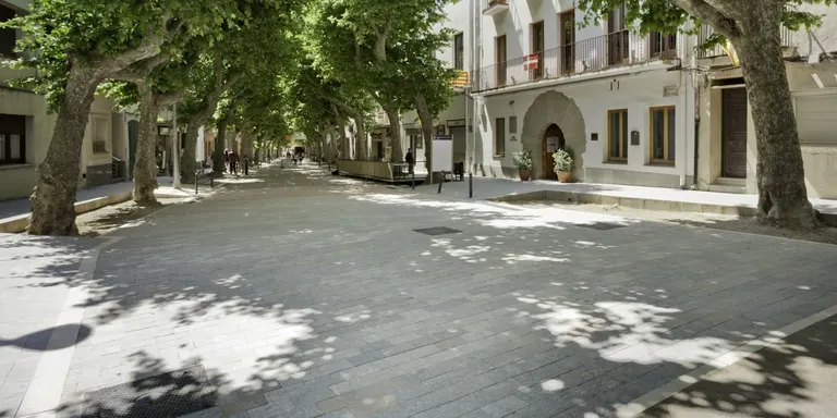L'Ajuntament es conjura per frenar l'incivisme creixent al municipi