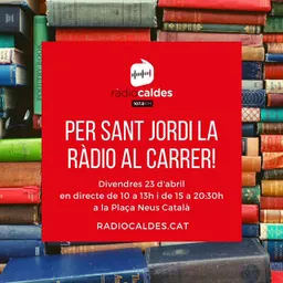 Programa especial de Sant Jordi 2021 del 23/4/2021 - episode art