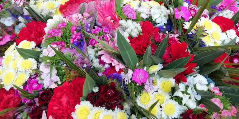 El comerç de flor i planta està paralitzat per l’actual situació