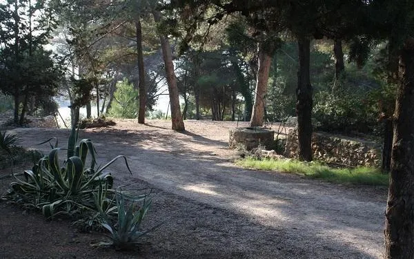 Foto: Altafulla Ràdio