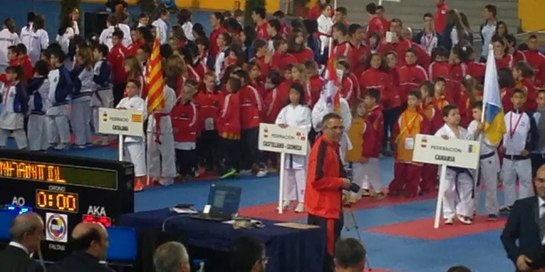 Balanç positiu del Karate Kobudo Pirineus al campionat estatal