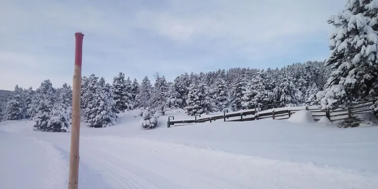 Condicions excel·lents a les estacions d'esquí nòrdic del Pirineu català