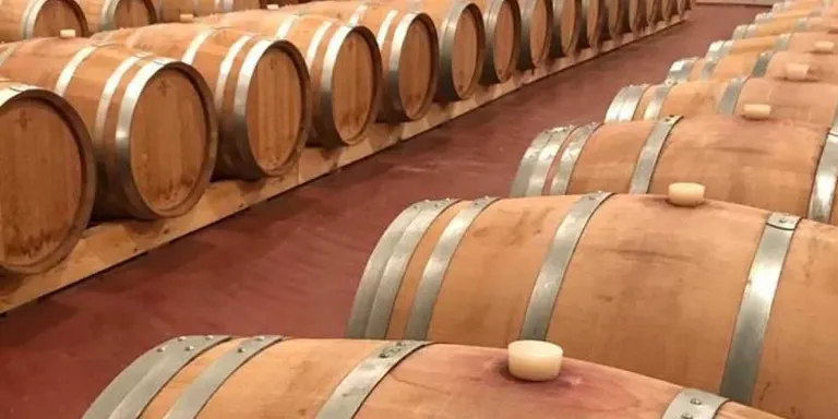 Sortida a les bodegues Mas Blanch i Jové per visitar l'exposició 'Amb A d'Amic'