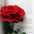 Especial Sant Jordi 2012