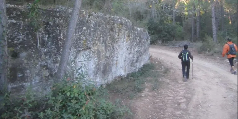 Nou ECOtaller aquest dimecres per construir una farmaciola de natura
