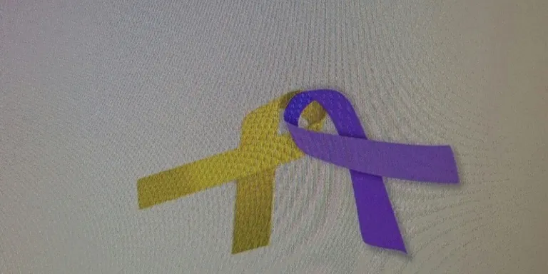 Impulsen a la Seu una associació de suport a persones en situació vulnerable
