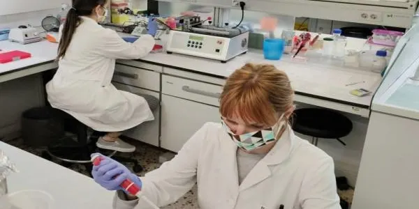 La URV enllesteix un test ràpid per valorar tant si una persona està infectada per coronavirus com si ho ha estat prèviament